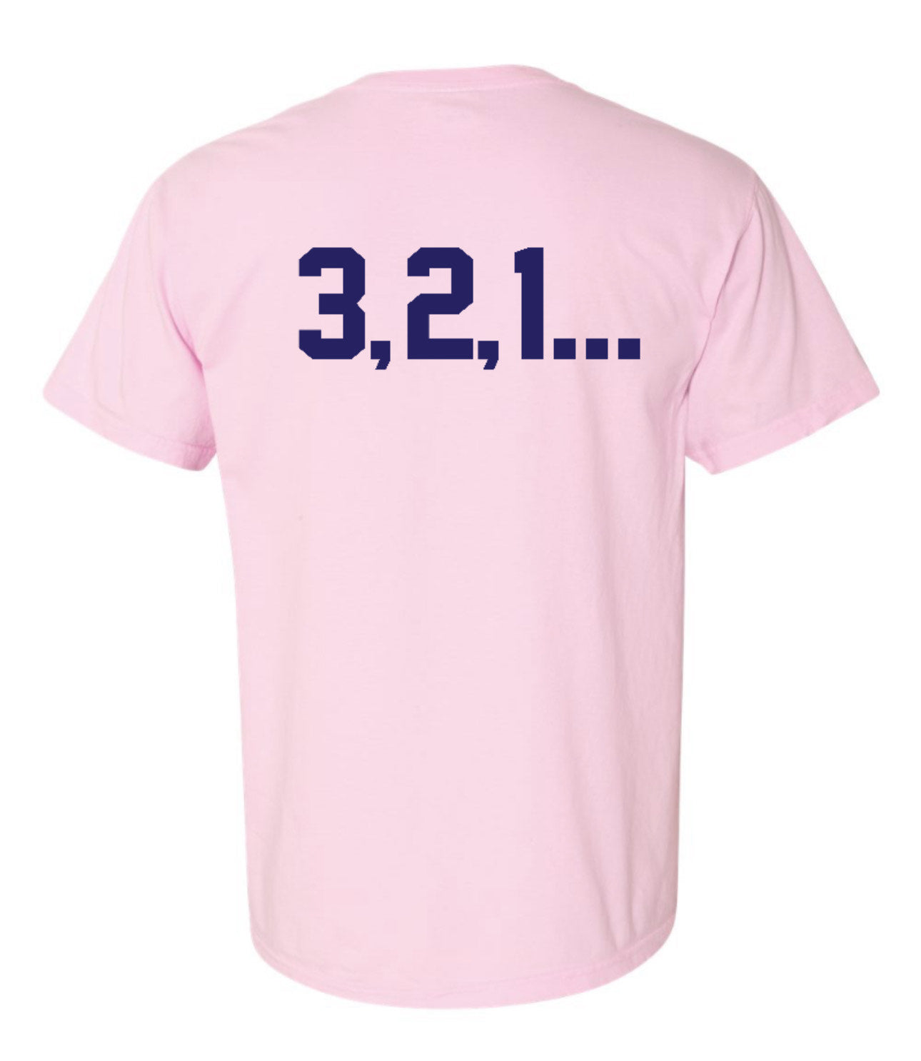 EXTRAS - 2025 WNN Aviator Short Sleeve - Comfort Colors - Blossom Pink